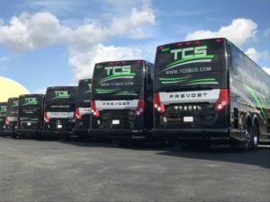 Fleet of TCS Canada buses standing side to side in a sunny parking lot