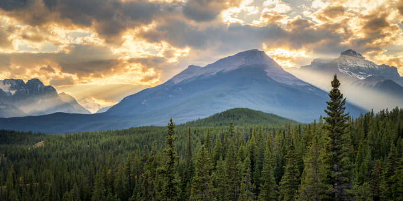 Clouds illuminated by the sunset above the forest in Banff National Park
